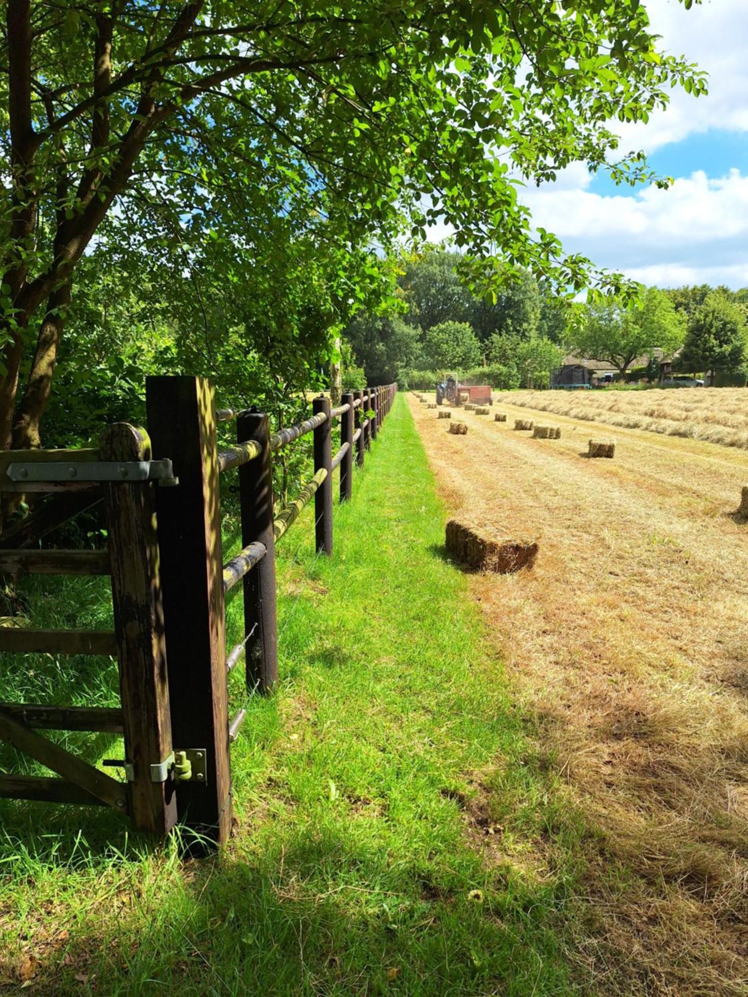 Berk En Heide * Rosmalen