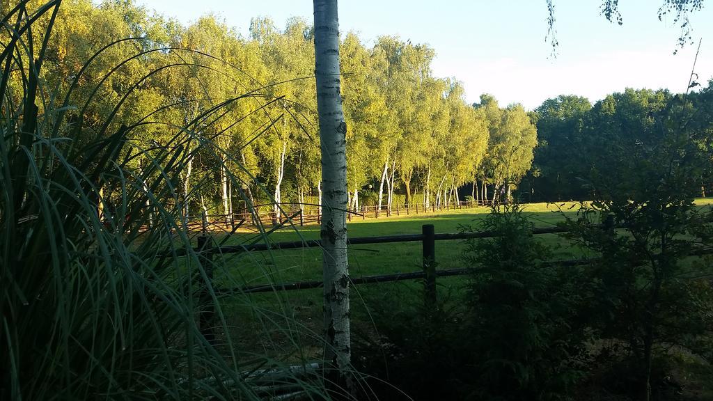 Appartamento Berk En Heide *