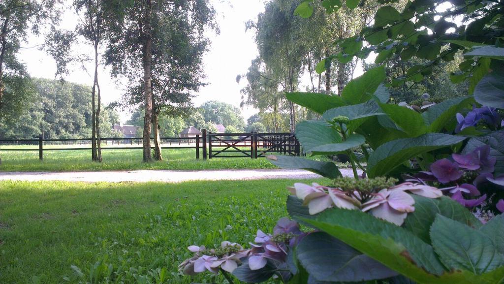 Berk En Heide * Rosmalen