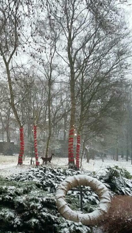 Appartamento Berk En Heide Rosmalen