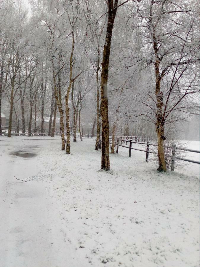 Berk En Heide * Rosmalen
