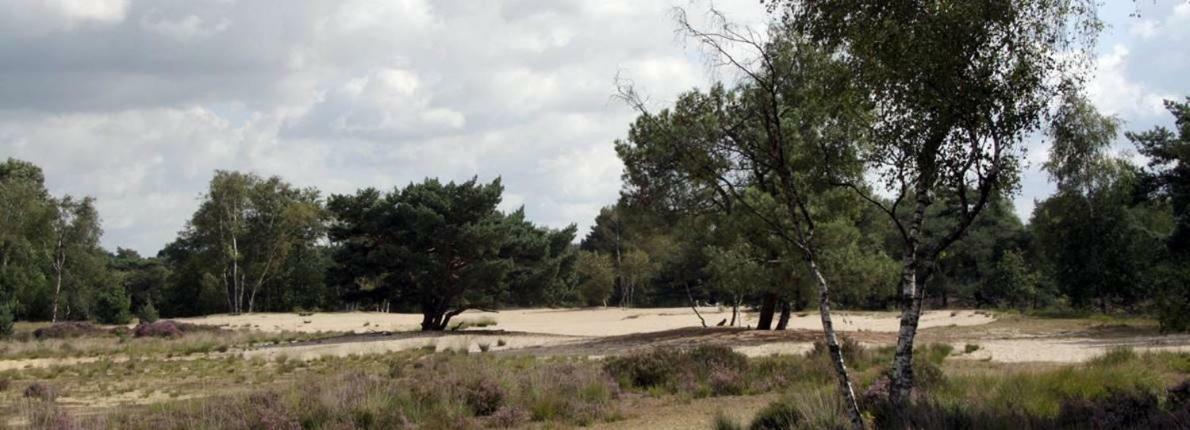Appartamento Berk En Heide